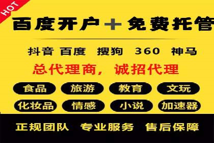 SEM代理的优化策略及成功案例